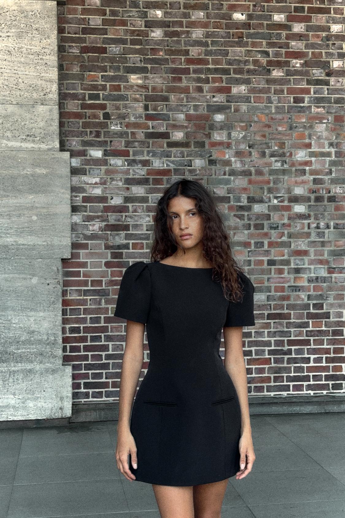 Sculpted Puff Sleeve Dress