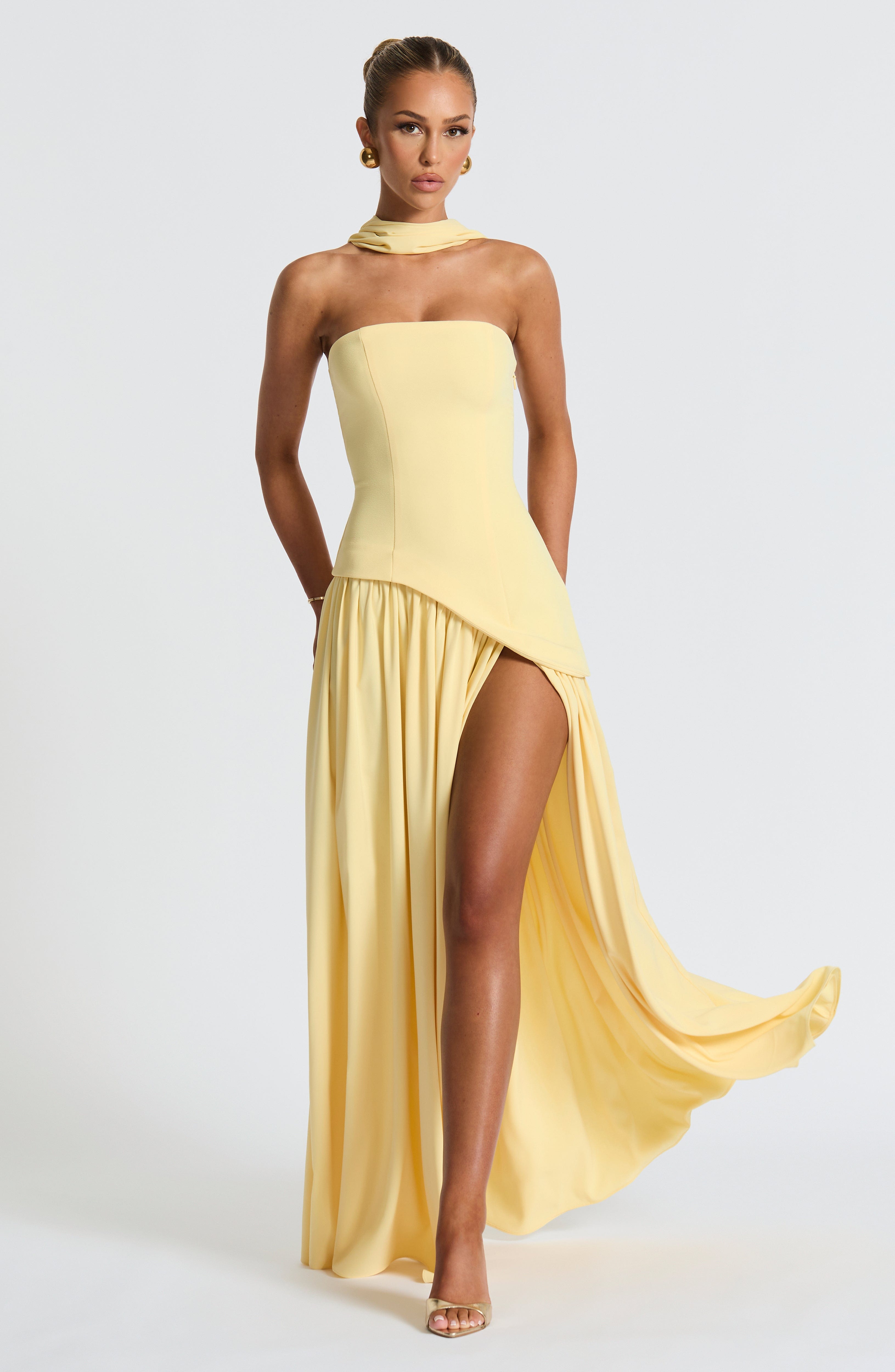 Elvaira Drape Gown
